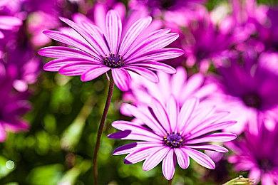 消息称任天堂或将在本月举行新一轮直面会