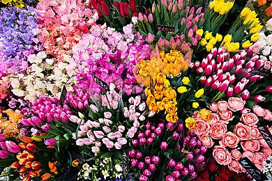 3A免费FPS《分裂之门2》公测评价褒贬不一 服务器崩溃CEO致歉